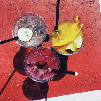 cocktails